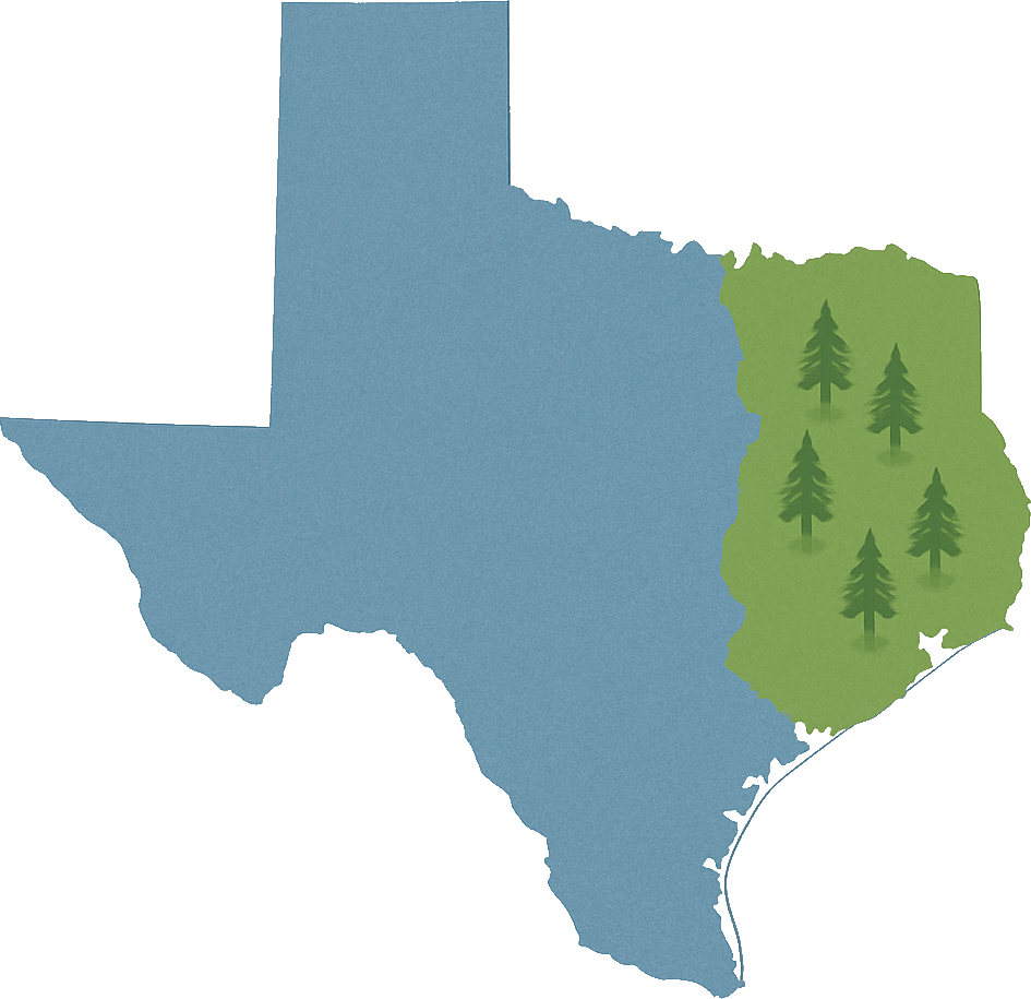 Trusted East Texas It Services | Local Experts In Business Technology 1 Easttexas 1